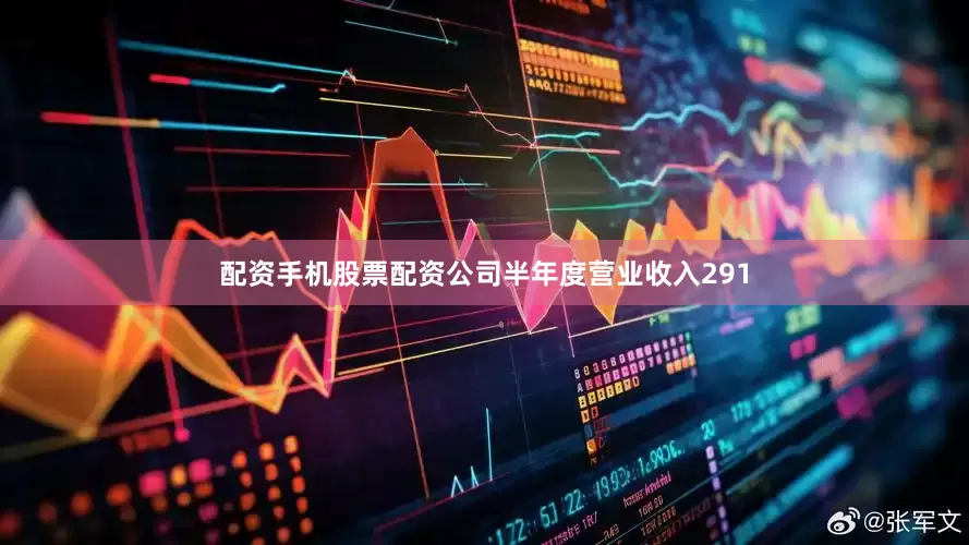 配资手机股票配资公司半年度营业收入291