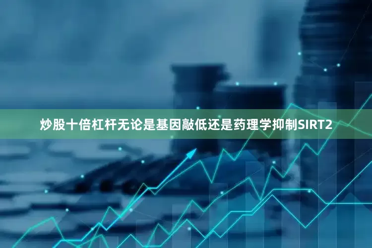 炒股十倍杠杆无论是基因敲低还是药理学抑制SIRT2