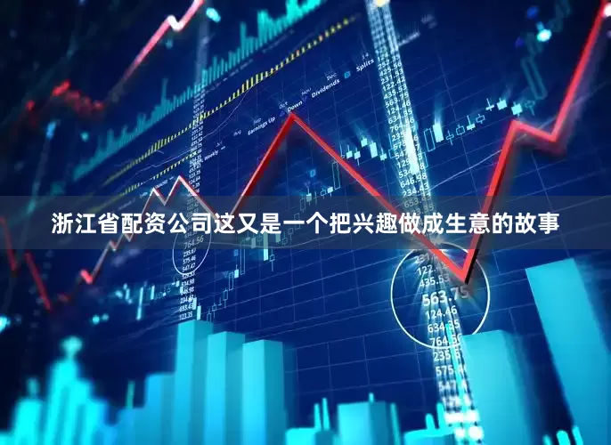 浙江省配资公司这又是一个把兴趣做成生意的故事