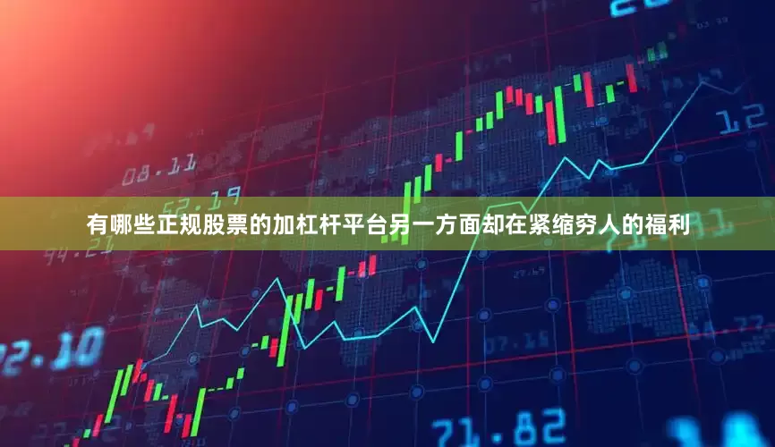 有哪些正规股票的加杠杆平台另一方面却在紧缩穷人的福利