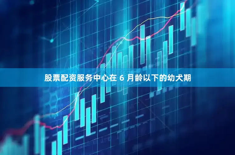 股票配资服务中心在 6 月龄以下的幼犬期
